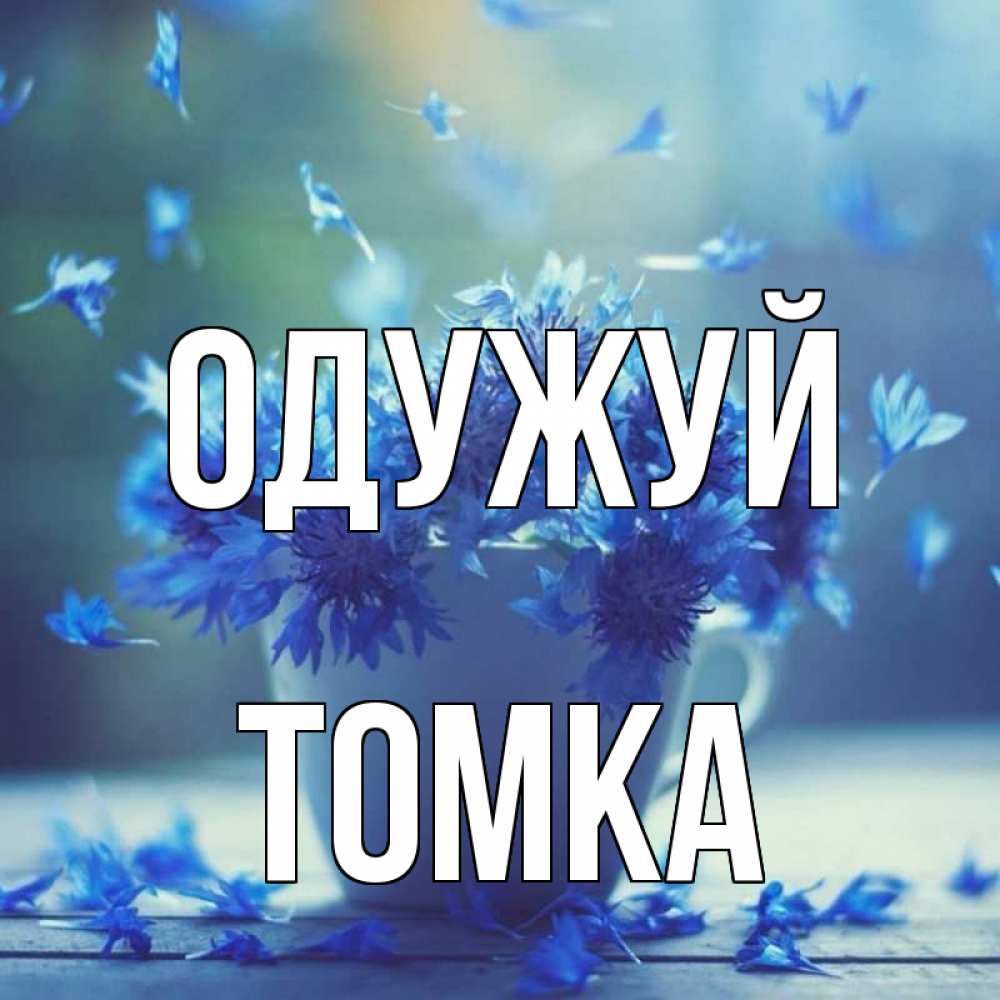 Открытка на каждый день з підписом, Томка Одужуй кружка с зельем и цветами Прикольна листівка з побажанням онлайн скачати безкоштовно 