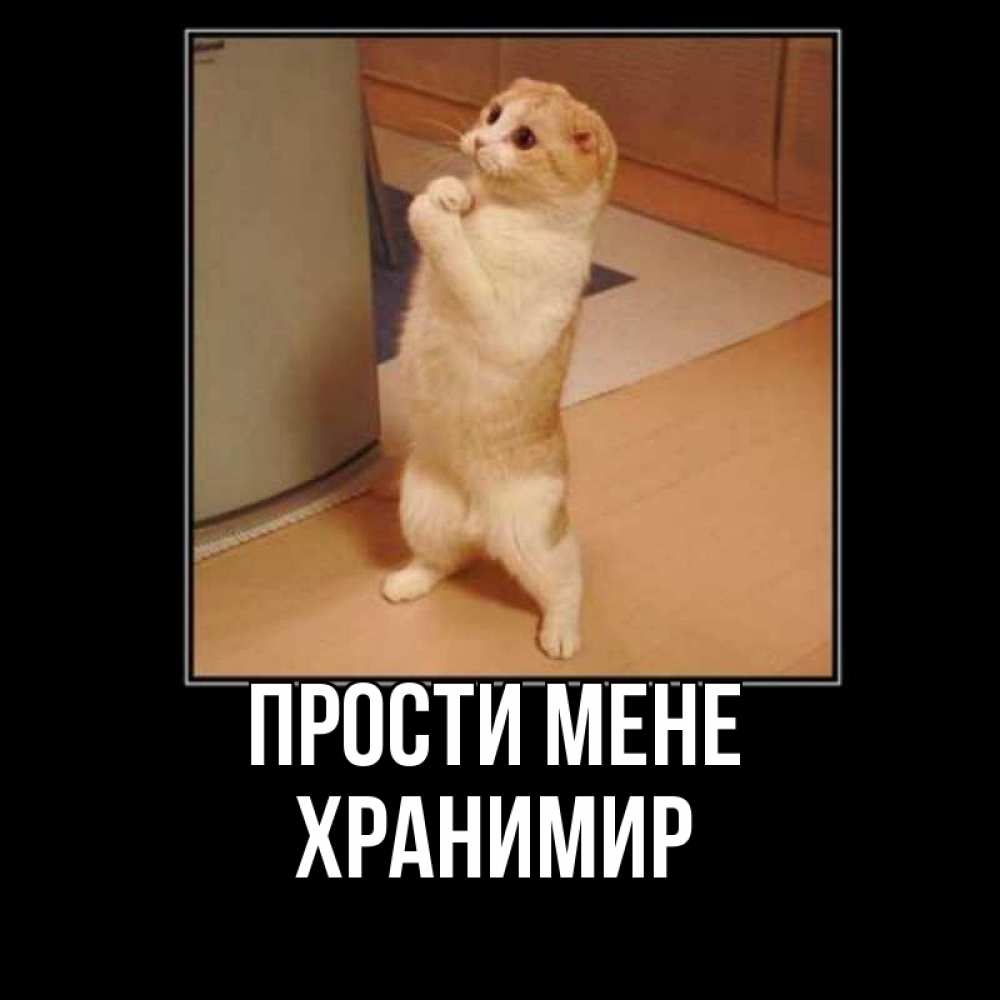 Открытка на каждый день з підписом, Хранимир Прости мене открытка с милым несчастным котиком просящим прощения Прикольна листівка з побажанням онлайн скачати безкоштовно 