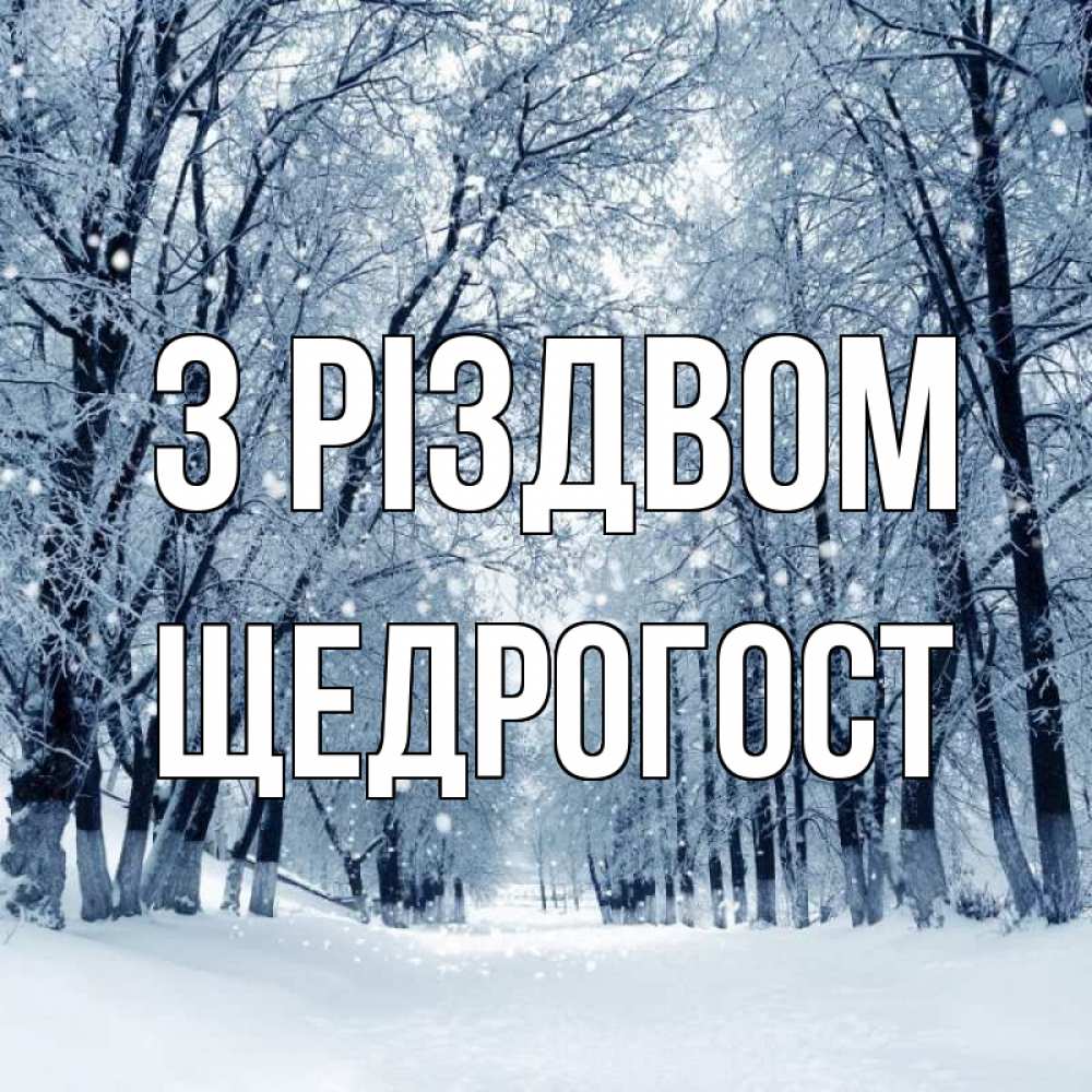 Открытка на каждый день з підписом, Щедрогост З Різдвом снег, лес, парк Прикольна листівка з побажанням онлайн скачати безкоштовно 