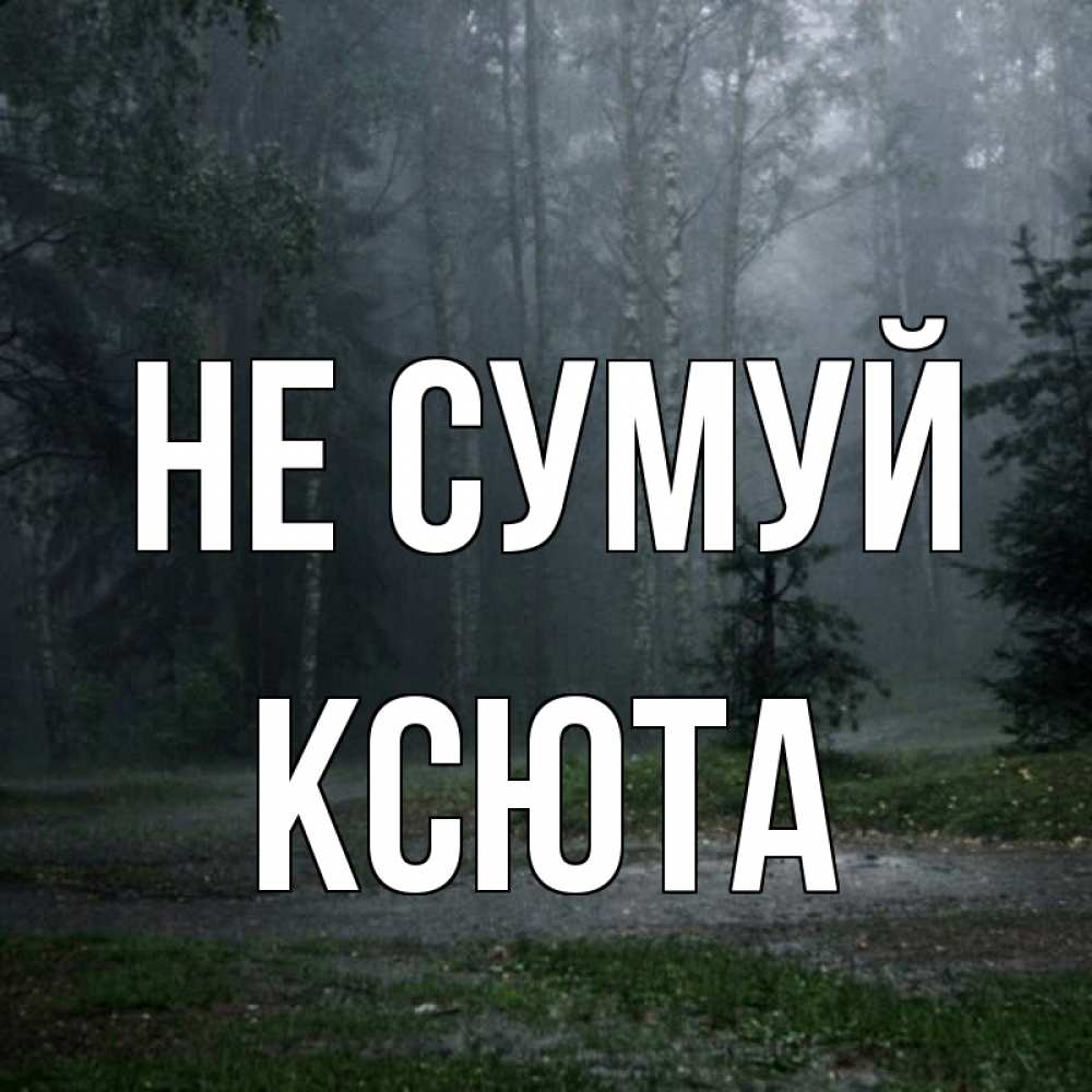 Открытка на каждый день з підписом, Ксюта Не сумуй осень Прикольна листівка з побажанням онлайн скачати безкоштовно 