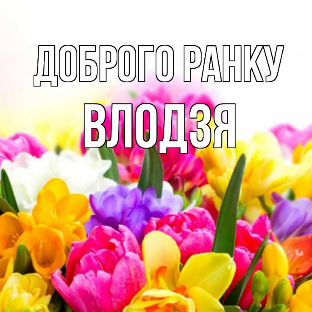 Открытка на каждый день з підписом, Влодзя Доброго ранку создать открытку со свое подписью Прикольна листівка з побажанням онлайн скачати безкоштовно 