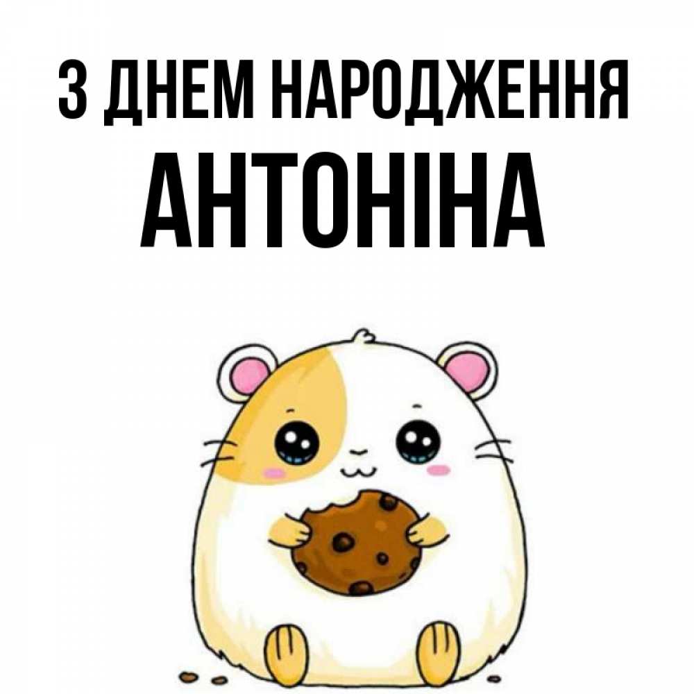 Открытка на каждый день з підписом, Антоніна З Днем народження с днюхой Прикольна листівка з побажанням онлайн скачати безкоштовно 