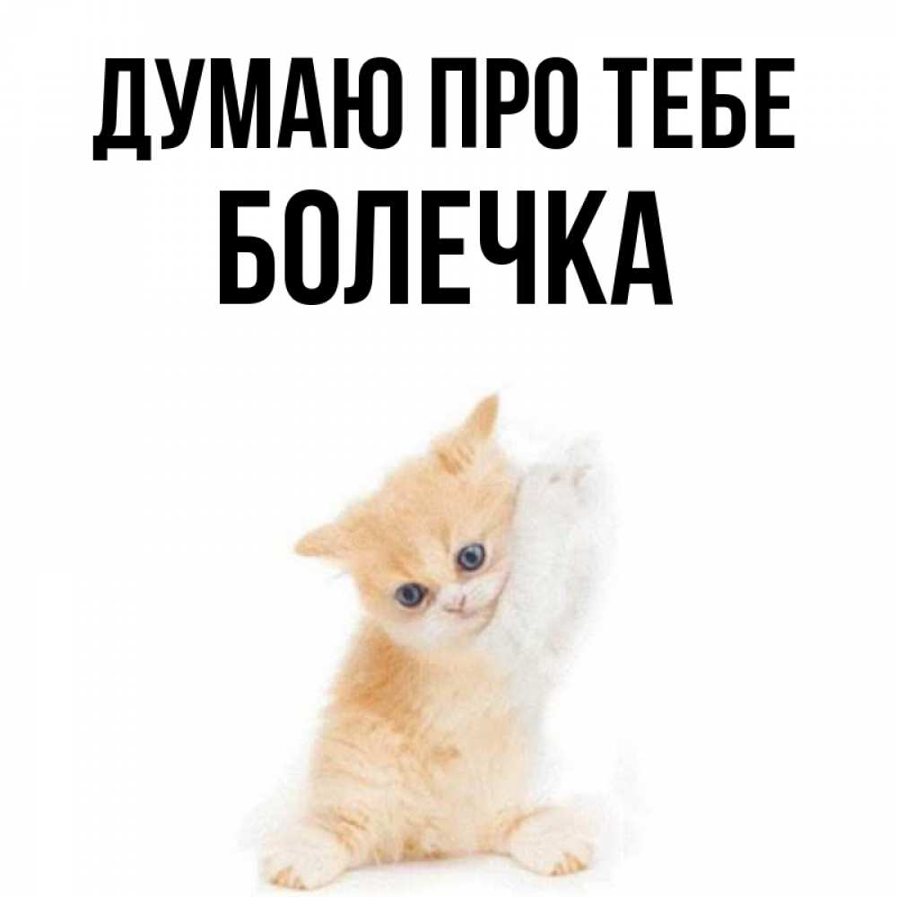Открытка на каждый день з підписом, Болечка Думаю про тебе зверушки и милота Прикольна листівка з побажанням онлайн скачати безкоштовно 