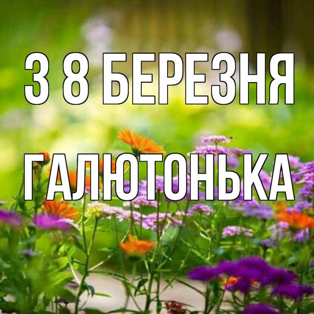 Открытка на каждый день з підписом, Галютонька З 8 БЕРЕЗНЯ цветы Прикольна листівка з побажанням онлайн скачати безкоштовно 