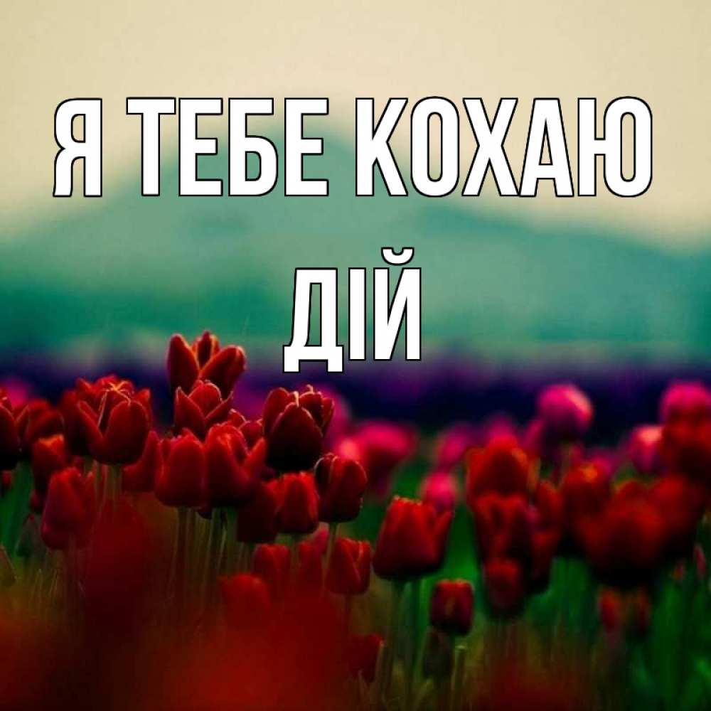 Открытка на каждый день з підписом, Дій Я тебе кохаю тюльпаны 4 Прикольна листівка з побажанням онлайн скачати безкоштовно 