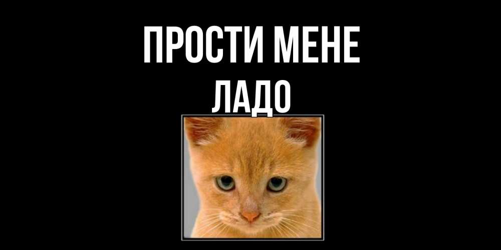 Открытка на каждый день з підписом, Ладо Прости мене рыжий грустный кот просит прощения Прикольна листівка з побажанням онлайн скачати безкоштовно 