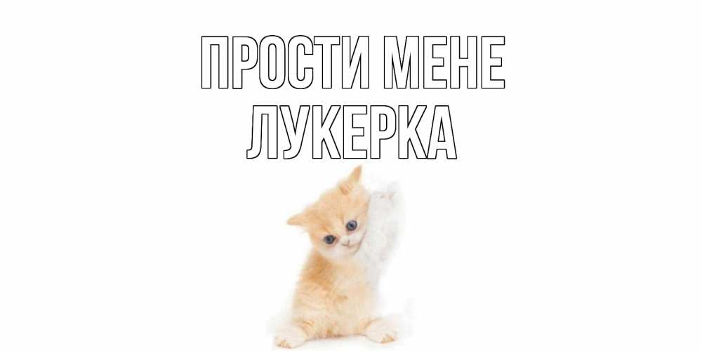 Открытка на каждый день з підписом, Лукерка Прости мене кот Прикольна листівка з побажанням онлайн скачати безкоштовно 