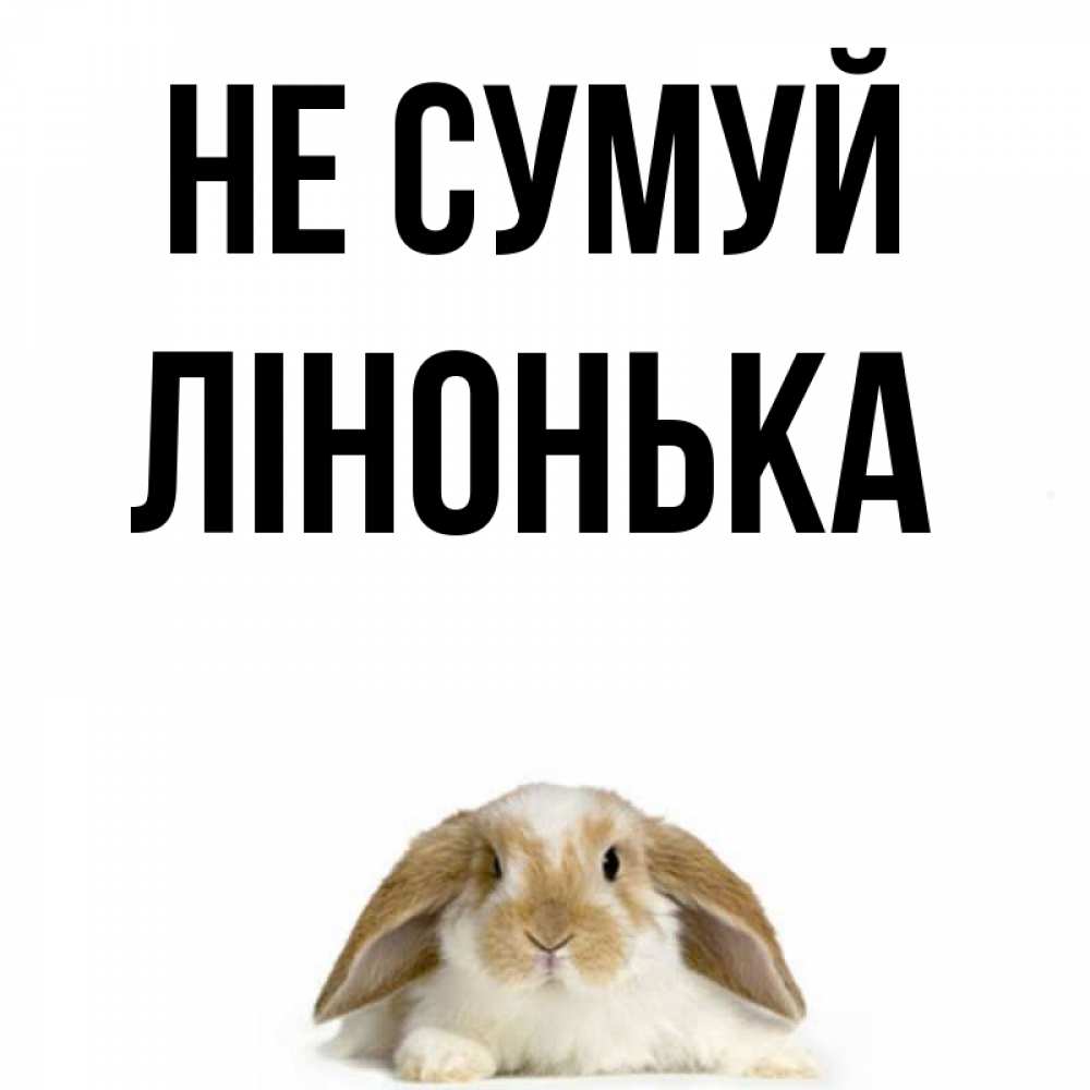 Открытка на каждый день з підписом, Лінонька Не сумуй коричнево белый заяц с большими ушками Прикольна листівка з побажанням онлайн скачати безкоштовно 