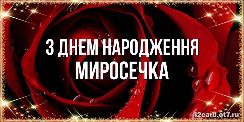 Открытка на каждый день з підписом, Миросечка З Днем народження цветок в росе на день рождения Прикольна листівка з побажанням онлайн скачати безкоштовно 