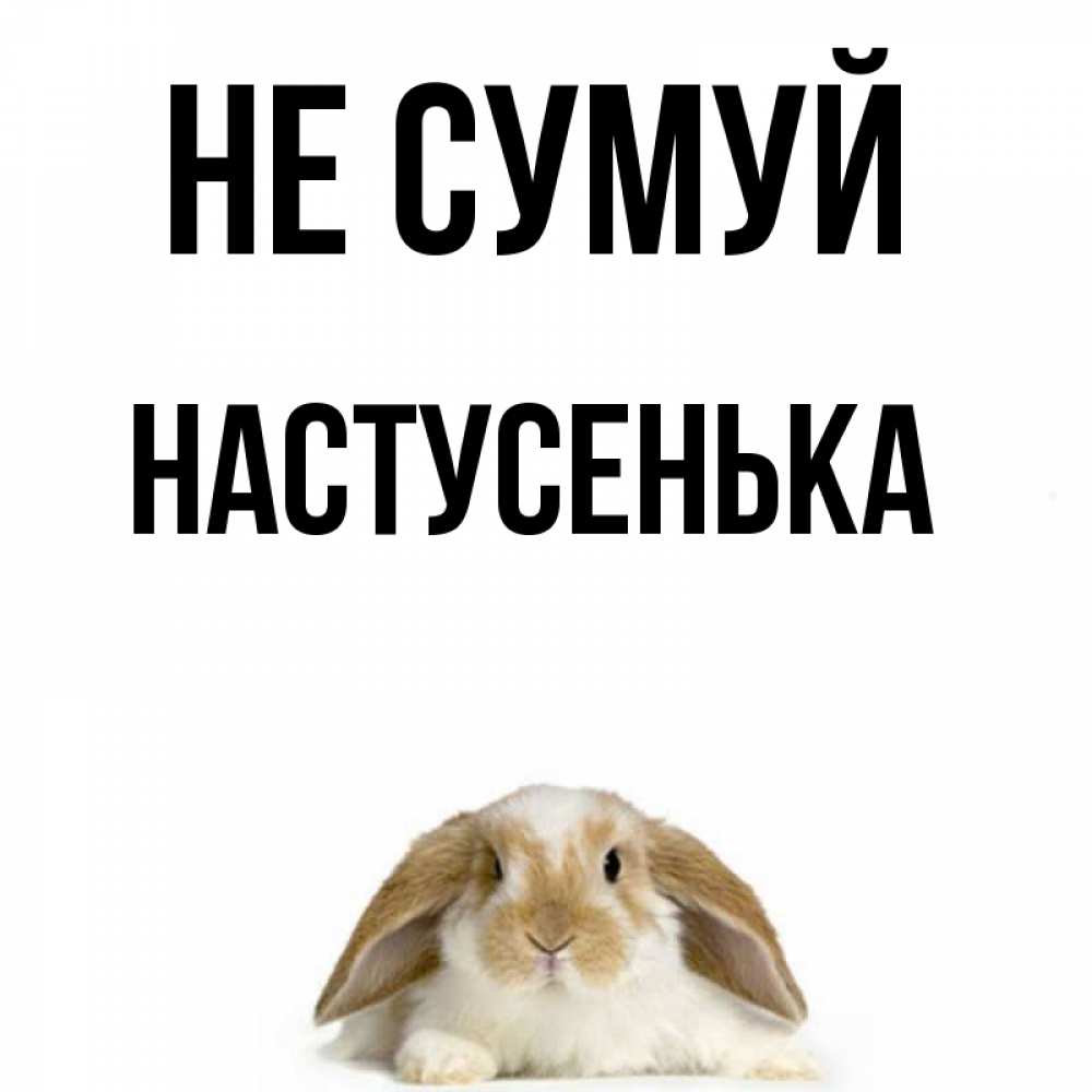 Открытка на каждый день з підписом, Настусенька Не сумуй коричнево белый заяц с большими ушками Прикольна листівка з побажанням онлайн скачати безкоштовно 