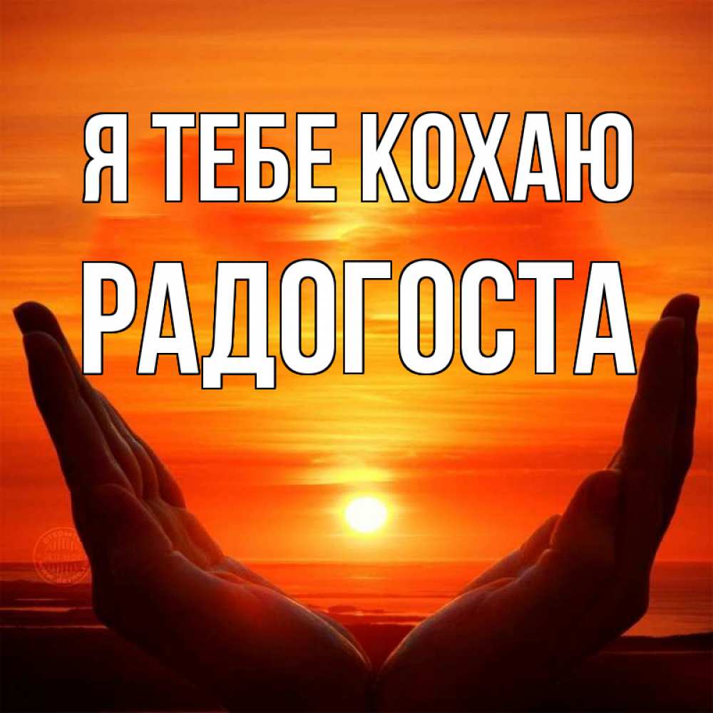 Открытка на каждый день з підписом, Радогоста Я тебе кохаю в руках Прикольна листівка з побажанням онлайн скачати безкоштовно 