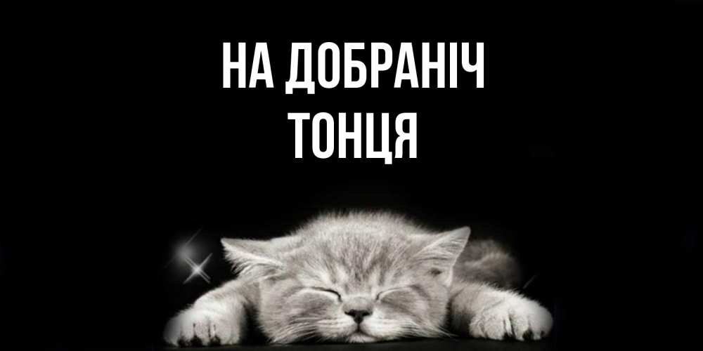 Открытка на каждый день з підписом, Тонця На добраніч спящий котик Прикольна листівка з побажанням онлайн скачати безкоштовно 