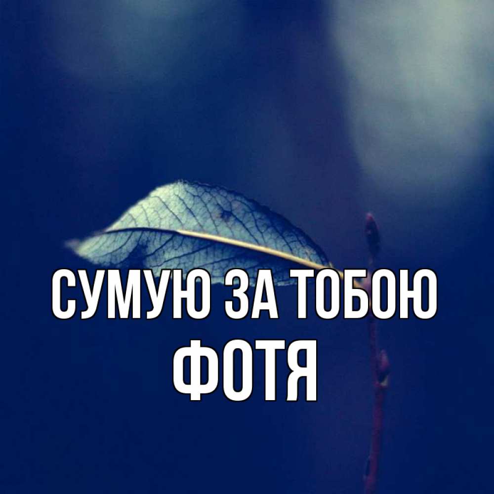 Открытка на каждый день з підписом, Фотя Сумую за тобою одна ветка 1 Прикольна листівка з побажанням онлайн скачати безкоштовно 
