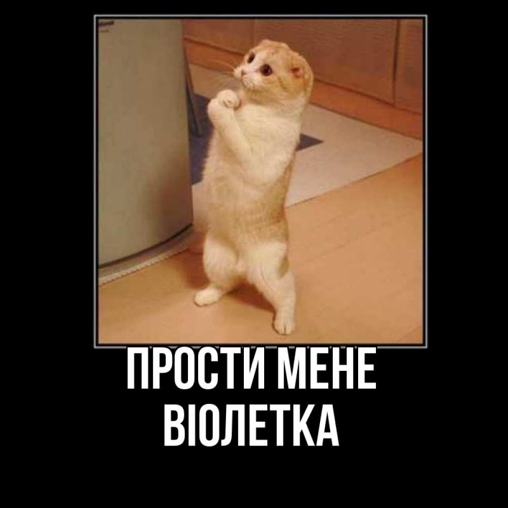 Открытка на каждый день з підписом, Віолетка Прости мене открытка с милым несчастным котиком просящим прощения Прикольна листівка з побажанням онлайн скачати безкоштовно 