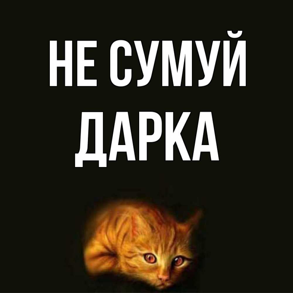 Открытка на каждый день з підписом, Дарка Не сумуй лежащий кот в темноте Прикольна листівка з побажанням онлайн скачати безкоштовно 