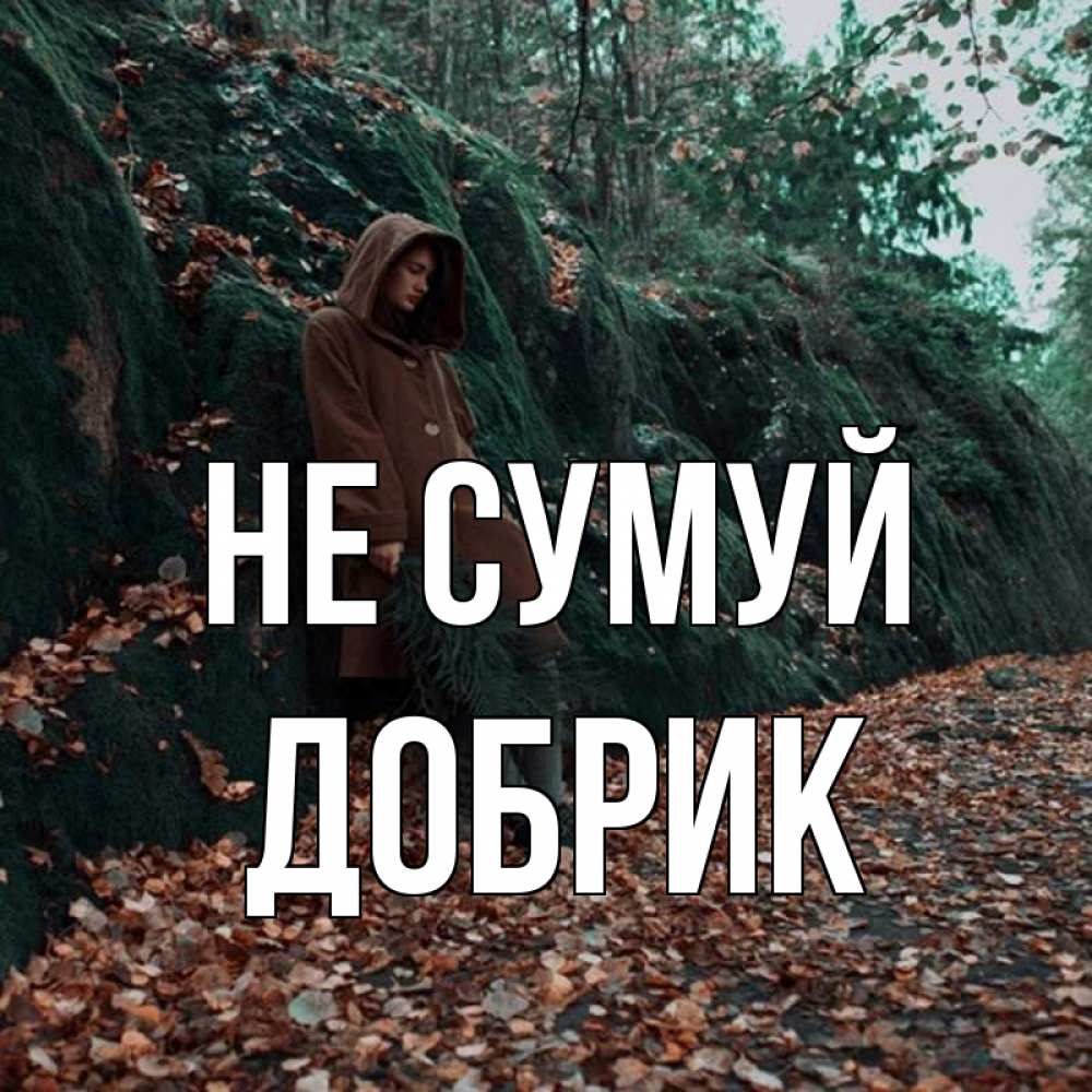 Открытка на каждый день з підписом, Добрик Не сумуй осенний лес Прикольна листівка з побажанням онлайн скачати безкоштовно 