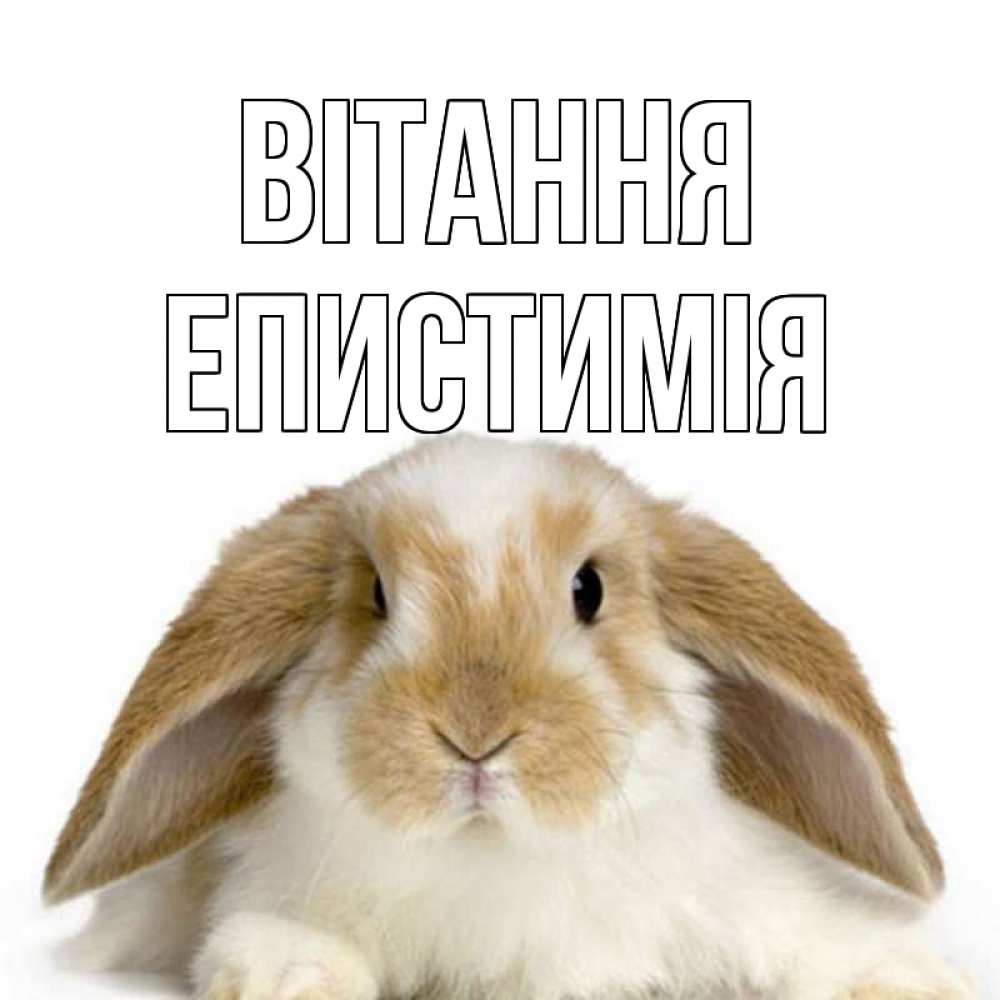 Открытка на каждый день з підписом, Епистимія Вітання с животными Прикольна листівка з побажанням онлайн скачати безкоштовно 