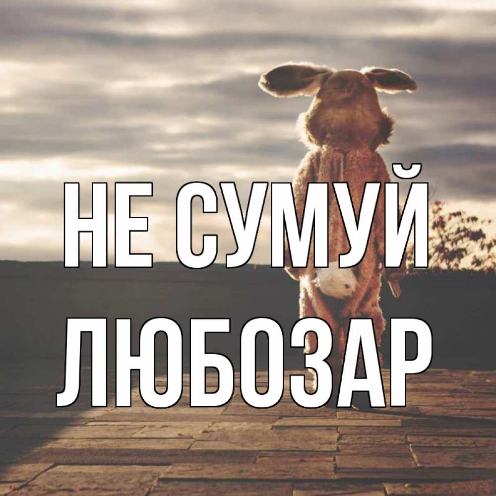 Открытка на каждый день з підписом, Любозар Не сумуй со спины Прикольна листівка з побажанням онлайн скачати безкоштовно 