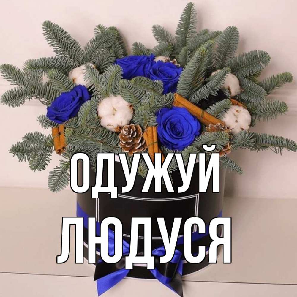 Открытка на каждый день з підписом, Людуся Одужуй короче кто то загрузил эти шишки Прикольна листівка з побажанням онлайн скачати безкоштовно 