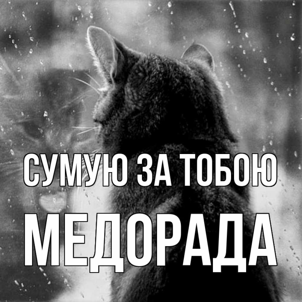 Открытка на каждый день з підписом, Медорада Сумую за тобою скорее ко мне приходи 1 Прикольна листівка з побажанням онлайн скачати безкоштовно 