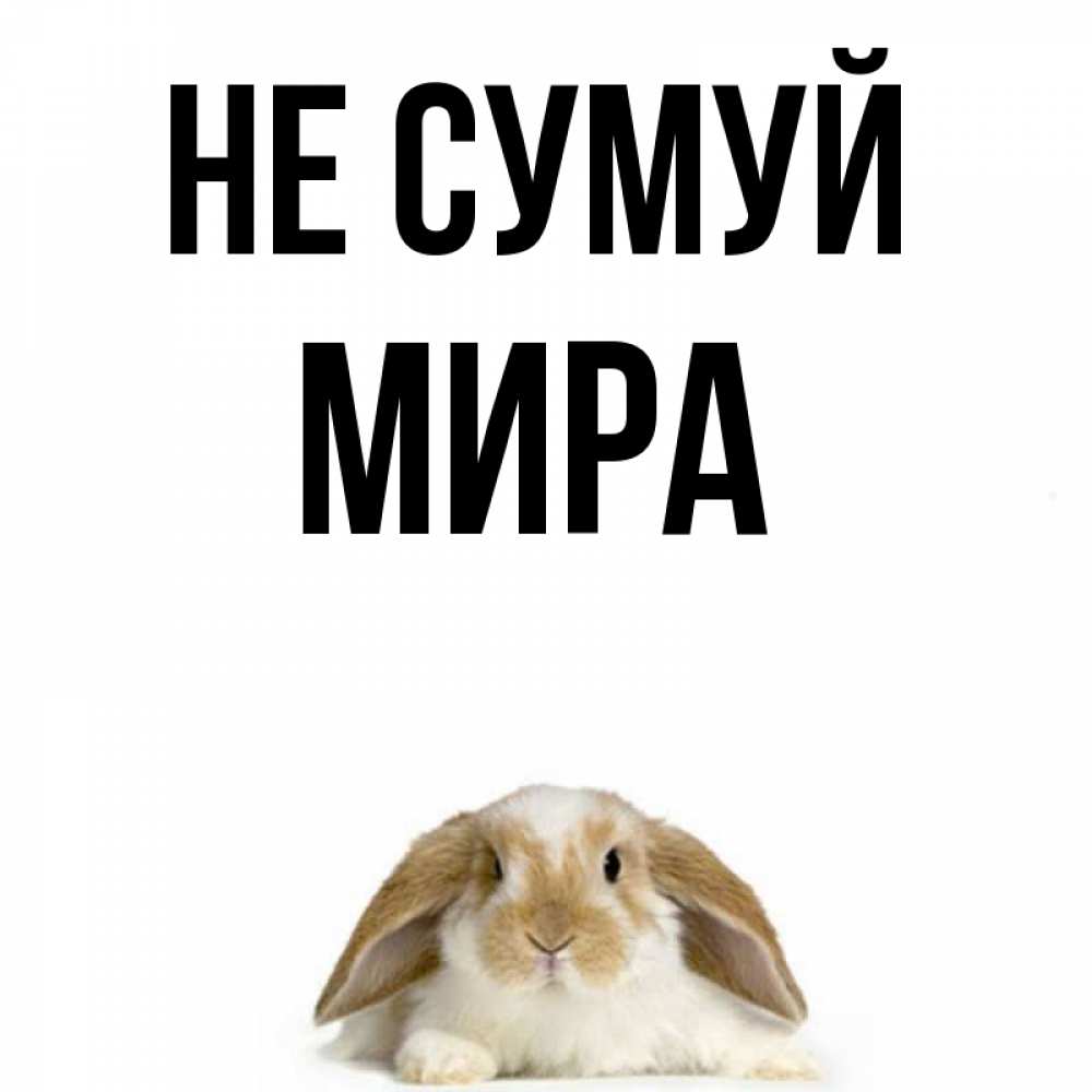 Открытка на каждый день з підписом, Мира Не сумуй коричнево белый заяц с большими ушками Прикольна листівка з побажанням онлайн скачати безкоштовно 