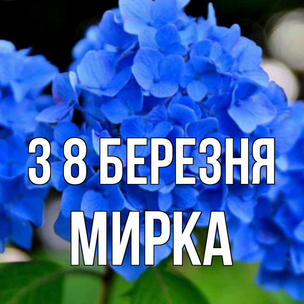 Открытка на каждый день з підписом, Мирка З 8 БЕРЕЗНЯ синие цветы Прикольна листівка з побажанням онлайн скачати безкоштовно 