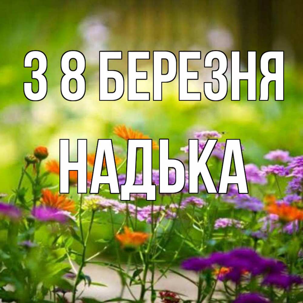 Открытка на каждый день з підписом, Надька З 8 БЕРЕЗНЯ цветы Прикольна листівка з побажанням онлайн скачати безкоштовно 