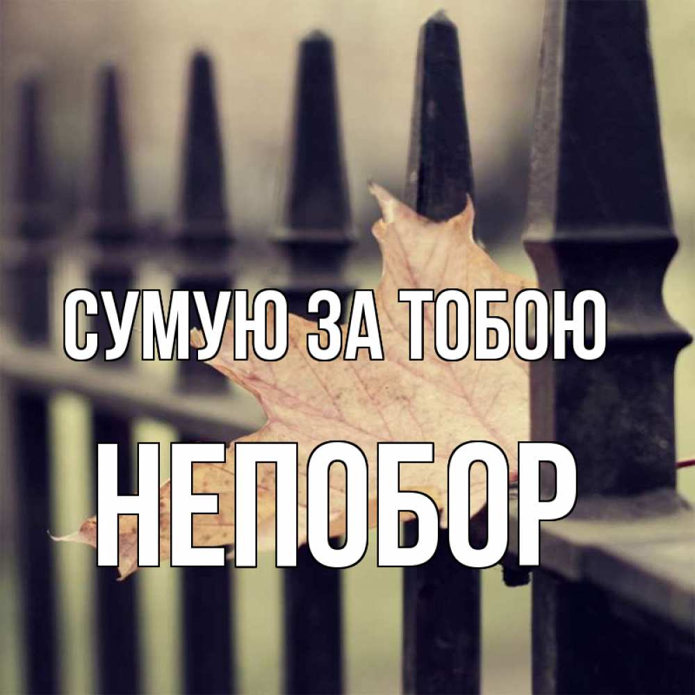 Открытка на каждый день з підписом, Непобор Сумую за тобою очень скучно Прикольна листівка з побажанням онлайн скачати безкоштовно 