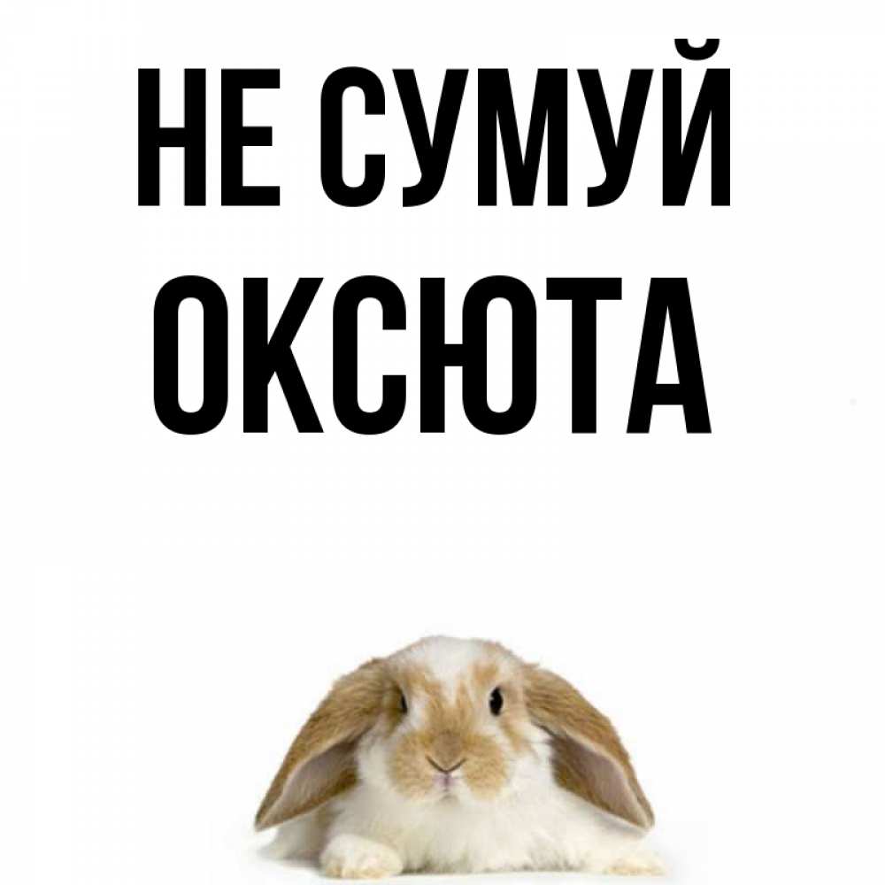 Открытка на каждый день з підписом, Оксюта Не сумуй коричнево белый заяц с большими ушками Прикольна листівка з побажанням онлайн скачати безкоштовно 