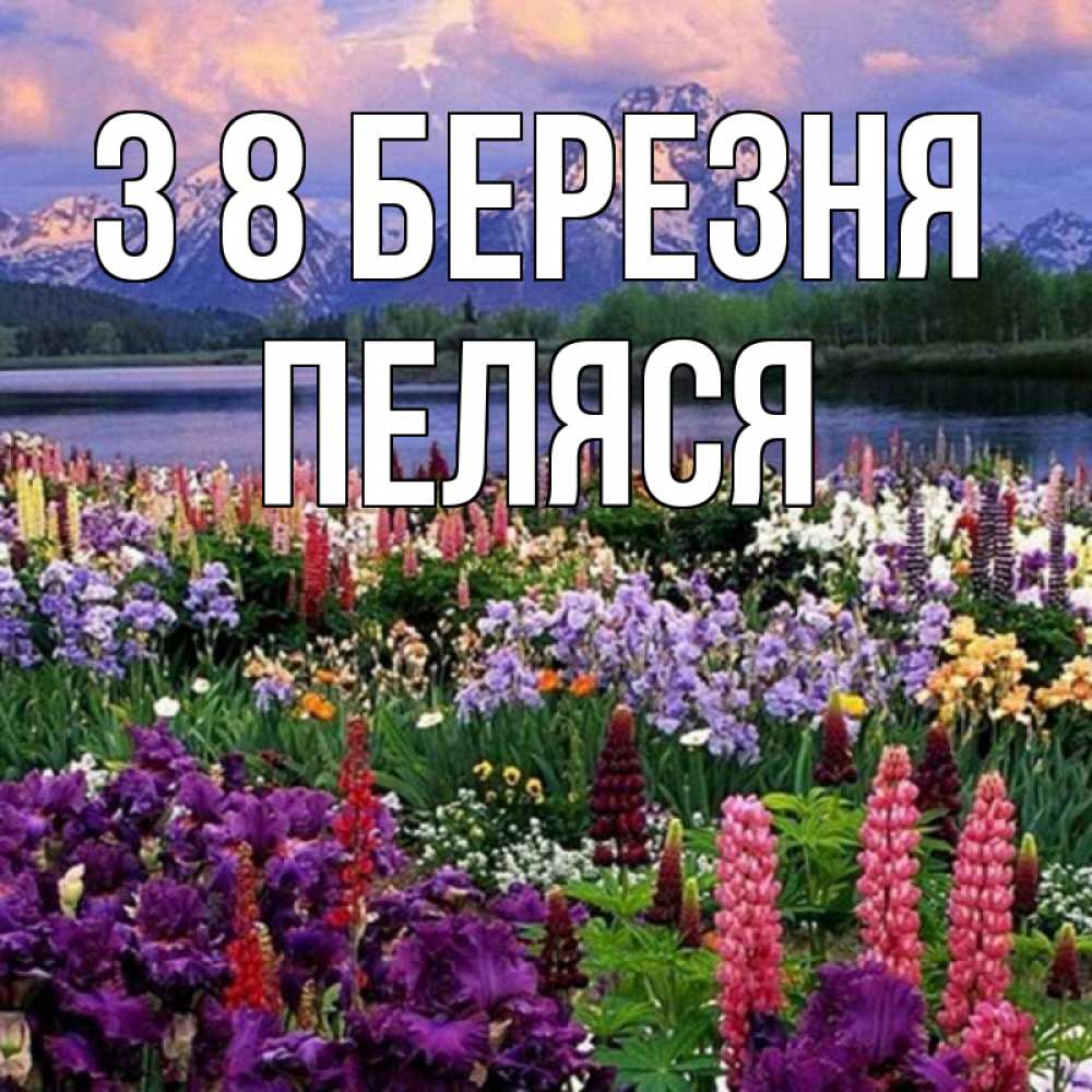 Открытка на каждый день з підписом, Пеляся З 8 БЕРЕЗНЯ международный женский день Прикольна листівка з побажанням онлайн скачати безкоштовно 