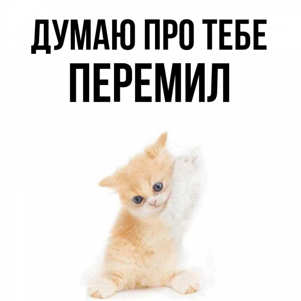 Открытка на каждый день з підписом, Перемил Думаю про тебе зверушки и милота Прикольна листівка з побажанням онлайн скачати безкоштовно 