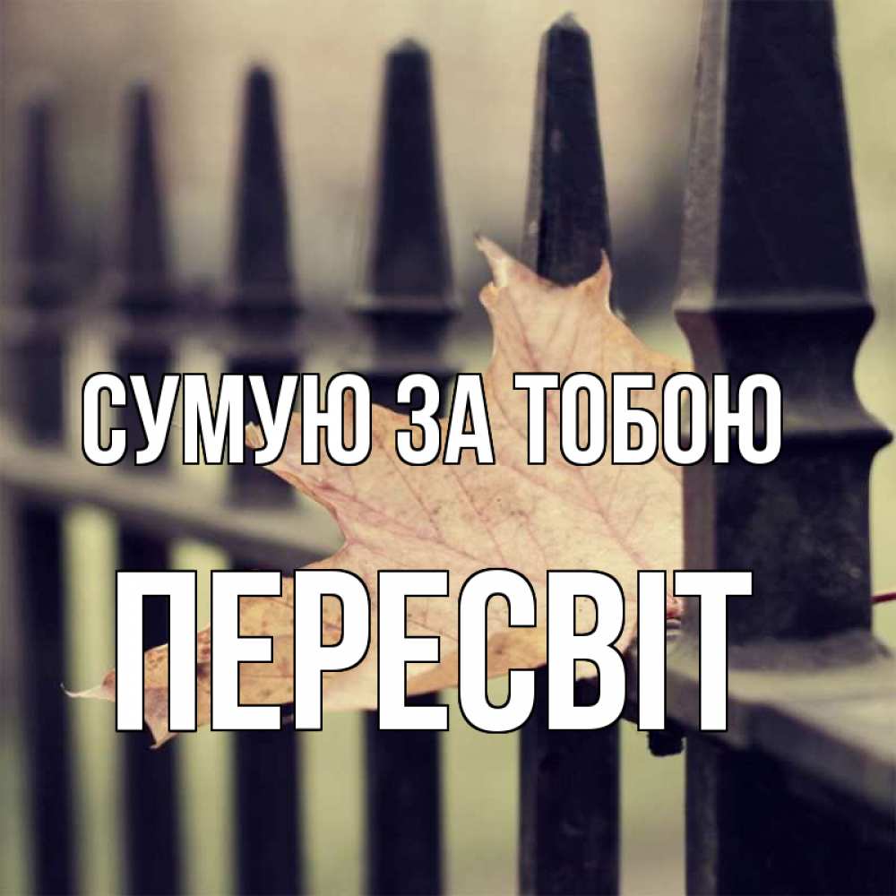 Открытка на каждый день з підписом, Пересвіт Сумую за тобою очень скучно Прикольна листівка з побажанням онлайн скачати безкоштовно 