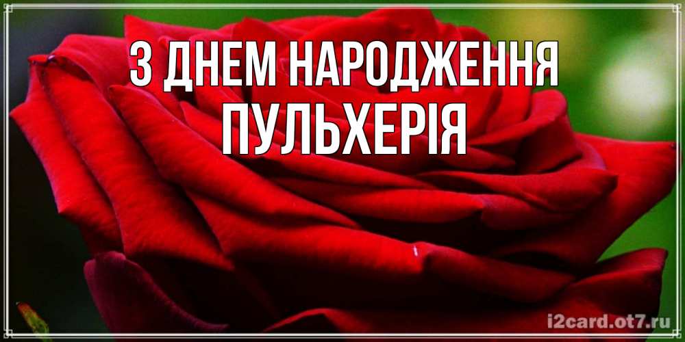 Открытка на каждый день з підписом, Пульхерія З Днем народження розочка очень красивая Прикольна листівка з побажанням онлайн скачати безкоштовно 