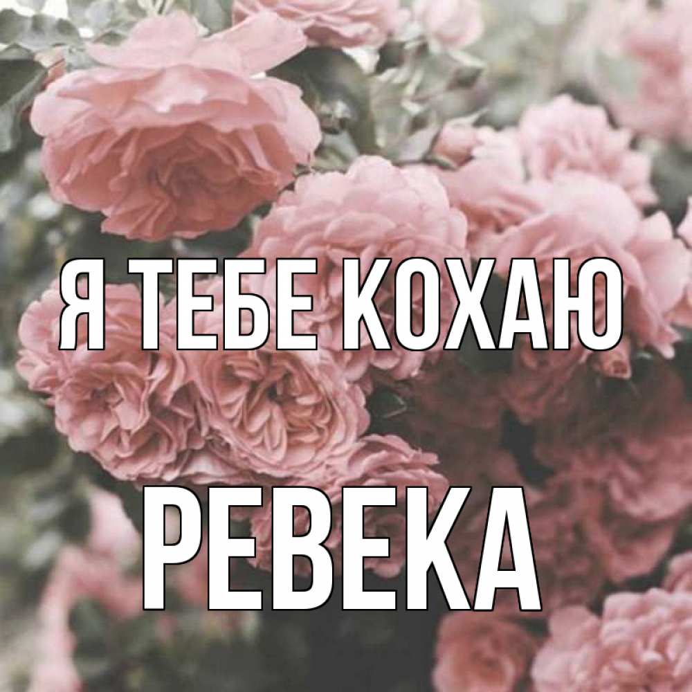 Открытка на каждый день з підписом, Ревека Я тебе кохаю розы 3 Прикольна листівка з побажанням онлайн скачати безкоштовно 