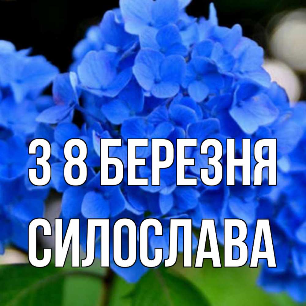 Открытка на каждый день з підписом, Силослава З 8 БЕРЕЗНЯ синие цветы Прикольна листівка з побажанням онлайн скачати безкоштовно 