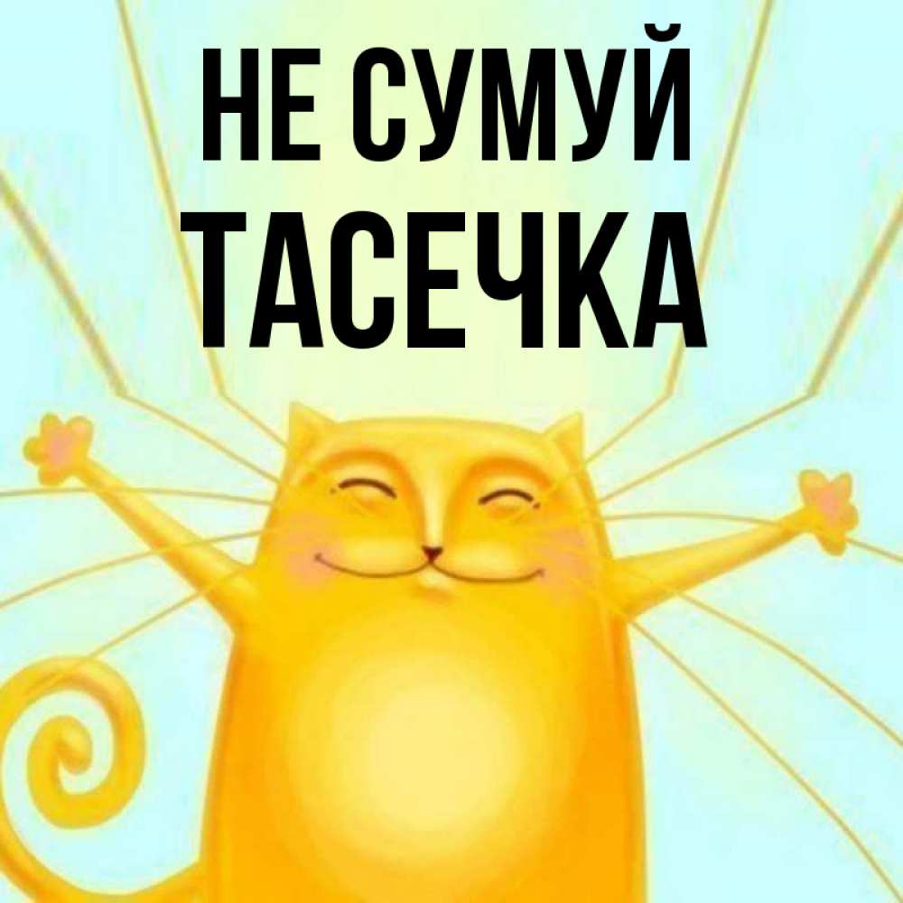 Открытка на каждый день з підписом, Тасечка Не сумуй обнимашки усатые Прикольна листівка з побажанням онлайн скачати безкоштовно 