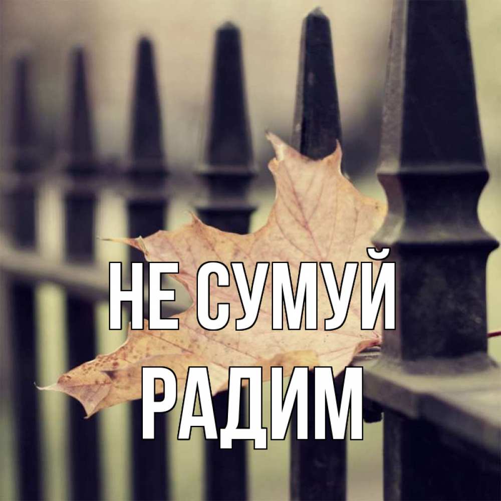 Открытка на каждый день з підписом, Радим Не сумуй лист клена Прикольна листівка з побажанням онлайн скачати безкоштовно 