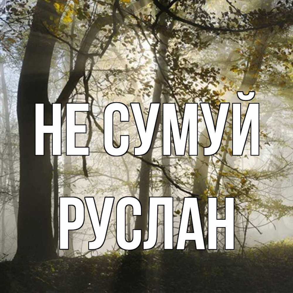 Открытка на каждый день з підписом, Руслан Не сумуй лес и свет Прикольна листівка з побажанням онлайн скачати безкоштовно 