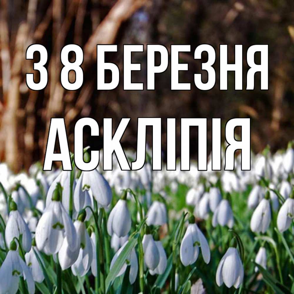 Открытка на каждый день з підписом, Аскліпія З 8 БЕРЕЗНЯ с подснежниками 1 Прикольна листівка з побажанням онлайн скачати безкоштовно 