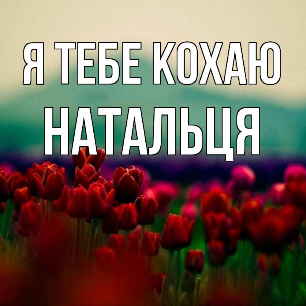 Открытка на каждый день з підписом, Натальця Я тебе кохаю тюльпаны 4 Прикольна листівка з побажанням онлайн скачати безкоштовно 