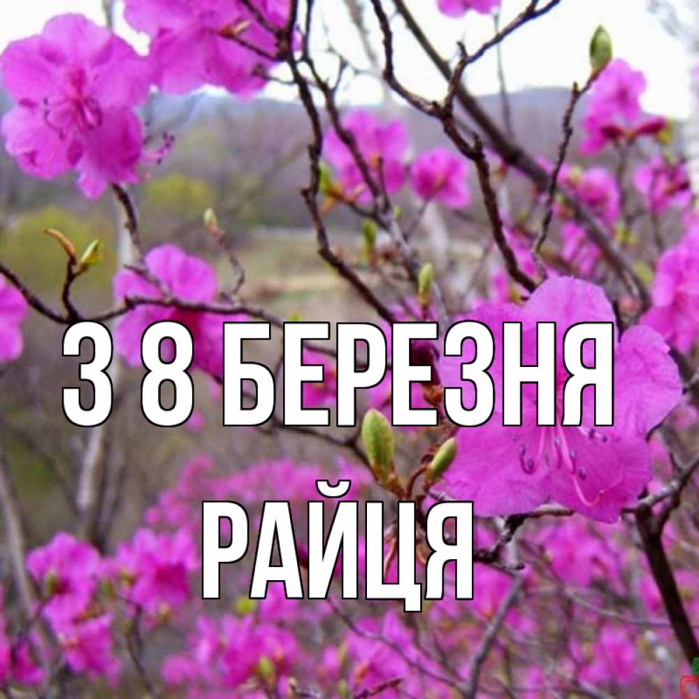 Открытка на каждый день з підписом, Райця З 8 БЕРЕЗНЯ международный женский день Прикольна листівка з побажанням онлайн скачати безкоштовно 