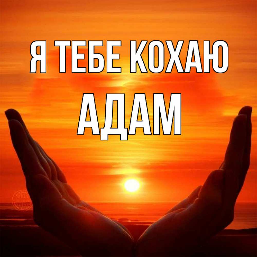 Открытка на каждый день з підписом, Адам Я тебе кохаю в руках Прикольна листівка з побажанням онлайн скачати безкоштовно 