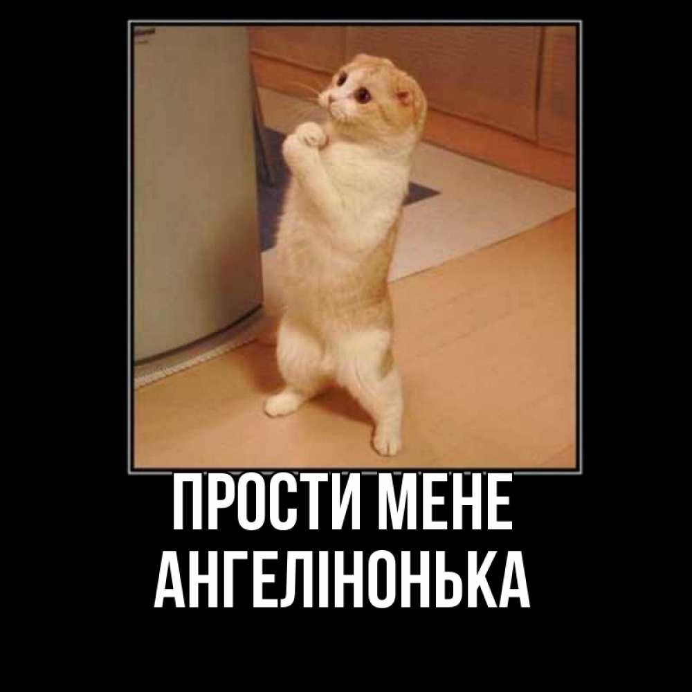 Открытка на каждый день з підписом, Ангелінонька Прости мене открытка с милым несчастным котиком просящим прощения Прикольна листівка з побажанням онлайн скачати безкоштовно 