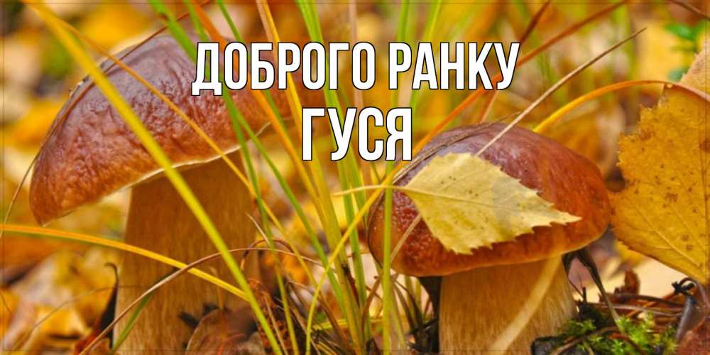 Открытка на каждый день з підписом, Гуся Доброго ранку осенние грибы Прикольна листівка з побажанням онлайн скачати безкоштовно 