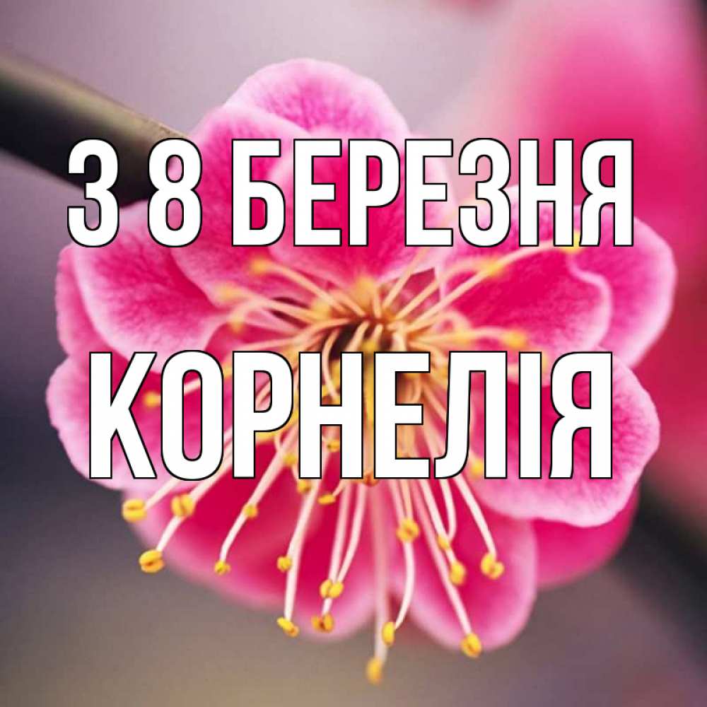 Открытка на каждый день з підписом, Корнелія З 8 БЕРЕЗНЯ цветы Прикольна листівка з побажанням онлайн скачати безкоштовно 