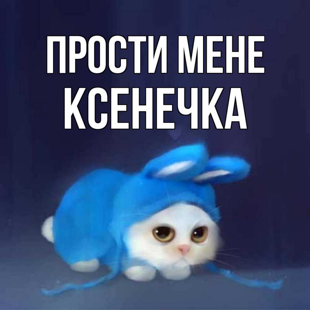 Открытка на каждый день з підписом, Ксенечка Прости мене невинный котозай просит прощения Прикольна листівка з побажанням онлайн скачати безкоштовно 
