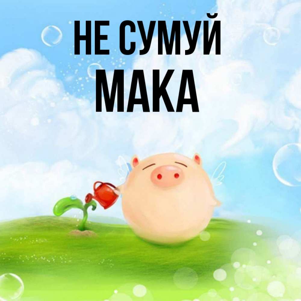 Открытка на каждый день з підписом, Мака Не сумуй поливает цветок порося Прикольна листівка з побажанням онлайн скачати безкоштовно 