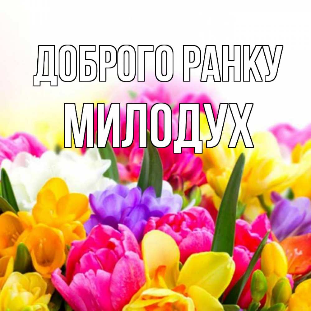 Открытка на каждый день з підписом, Милодух Доброго ранку создать открытку со свое подписью Прикольна листівка з побажанням онлайн скачати безкоштовно 