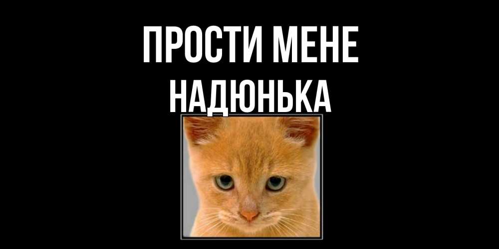 Открытка на каждый день з підписом, Надюнька Прости мене рыжий грустный кот просит прощения Прикольна листівка з побажанням онлайн скачати безкоштовно 