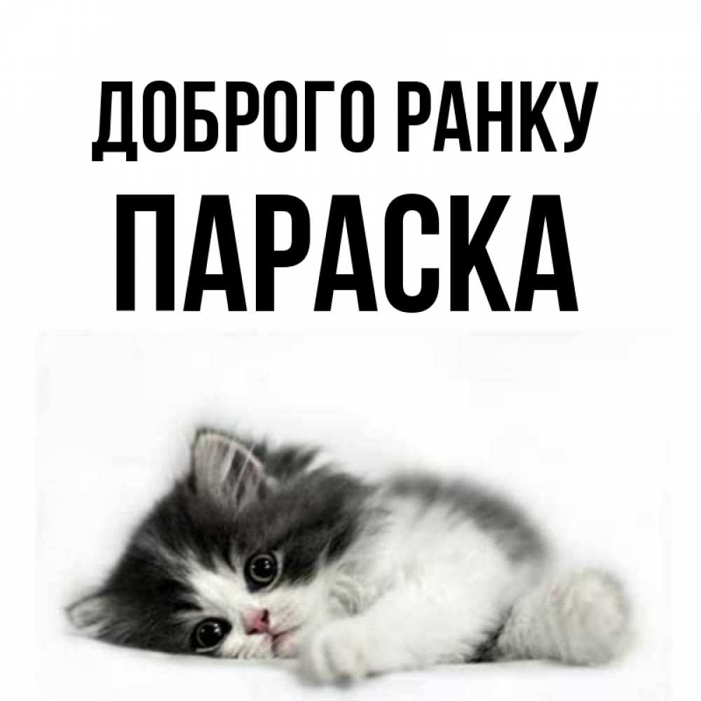 Открытка на каждый день з підписом, Параска Доброго ранку кот лапки Прикольна листівка з побажанням онлайн скачати безкоштовно 